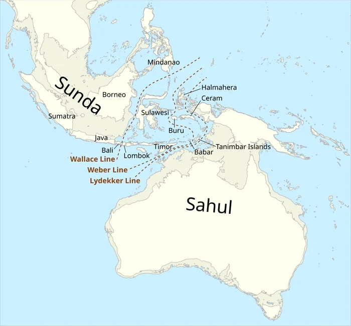 Sunda și Sahul (© Wikimedia Commons)
