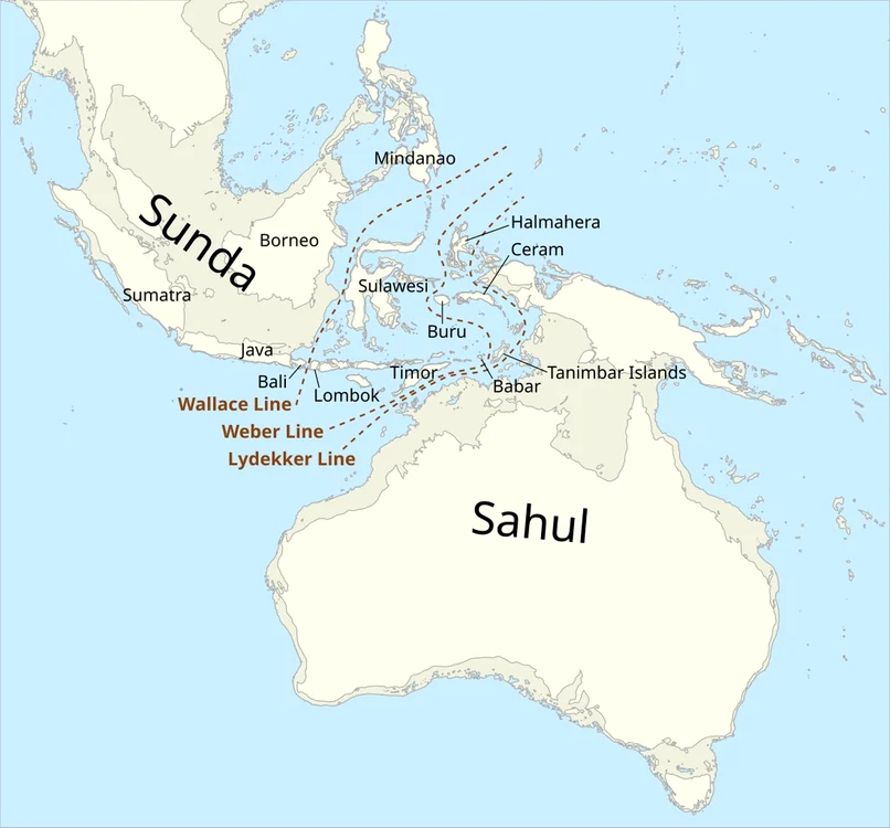 Sunda și Sahul (© Wikimedia Commons) 
