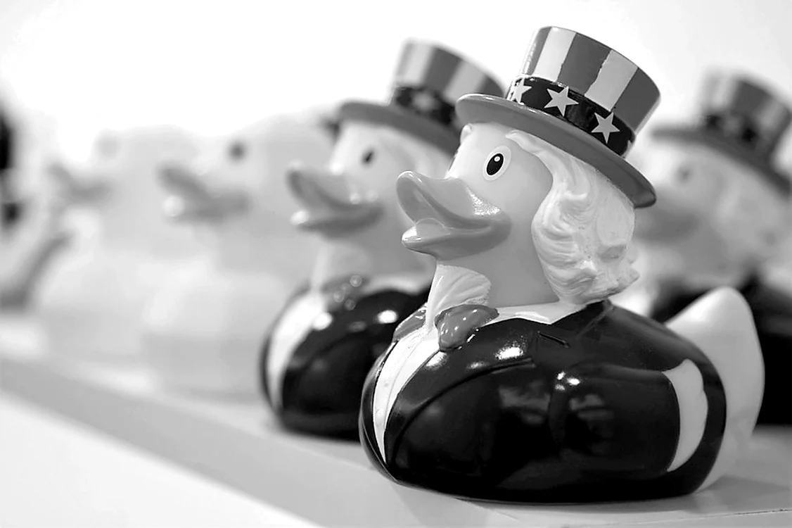 Daffy Duck preşedinte jpeg