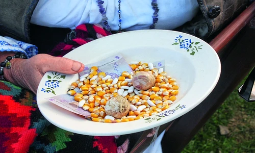 1 77975 original jpg jpeg