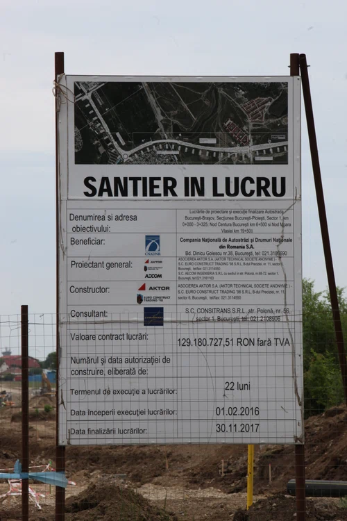 FOTO: Florin Șuler