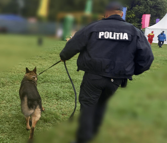 Bătrână din Argeș dispărută în pădure, căutată de zeci de oameni însoțiți de un câine de urmă