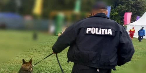 ipj arges cainre de urma jpeg