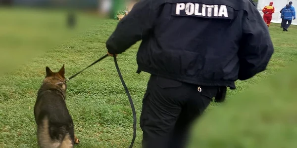 ipj arges cainre de urma jpeg