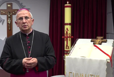 404523 284197 stiri ps paulet png