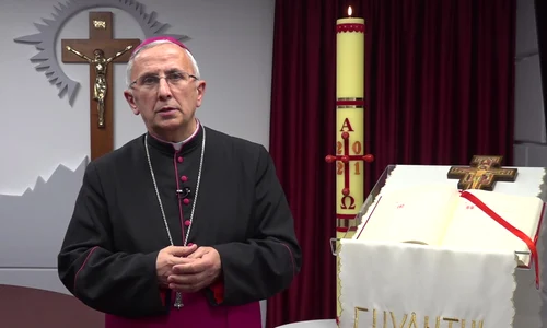 404523 284197 stiri ps paulet png