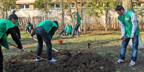 Echipa verde a făcut curat în curtea liceului
