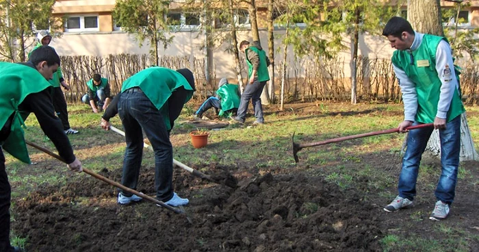 Echipa verde a făcut curat în curtea liceului