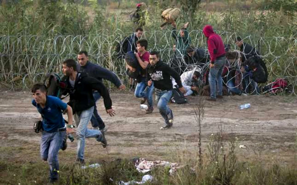 imigranti