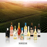 WhatsApp Image 2026 04 29 at 10 34 26 jpeg