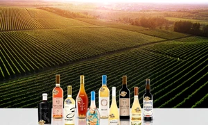 WhatsApp Image 2026 04 29 at 10 34 26 jpeg