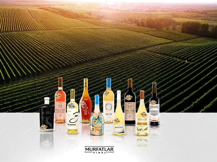 WhatsApp Image 2026 04 29 at 10 34 26 jpeg