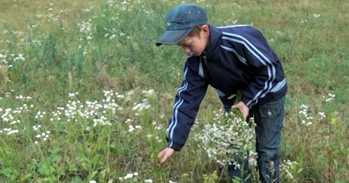 Georgică Butacu la cules de flori 