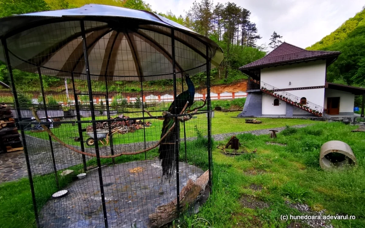 schitul sfantul nectarie nandru foto daniel guta adevarul 