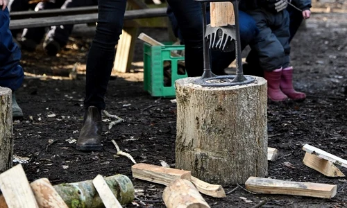 1 profimedia 0664644534 jpg jpeg