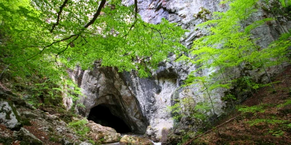 pestera cioclovina ponorici