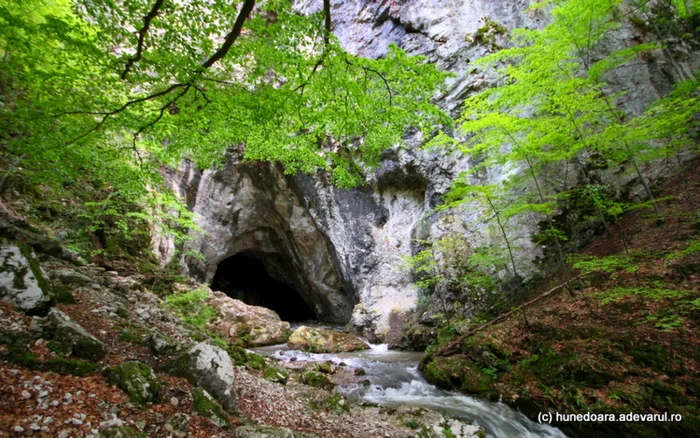 Peştera Cioclovina. Foto: Daniel Guţă. ADEVĂRUL.