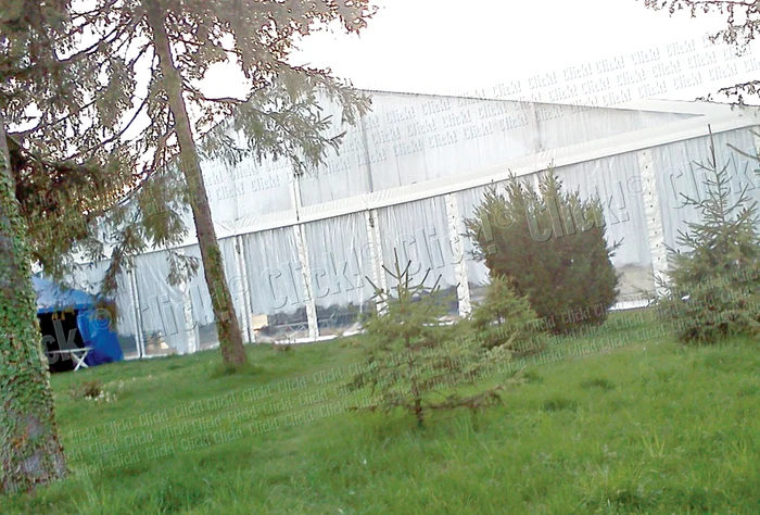 Uite ce pericole o pasc pe Teo la nuntă