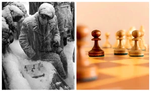 BeFunky collage (45) jpg