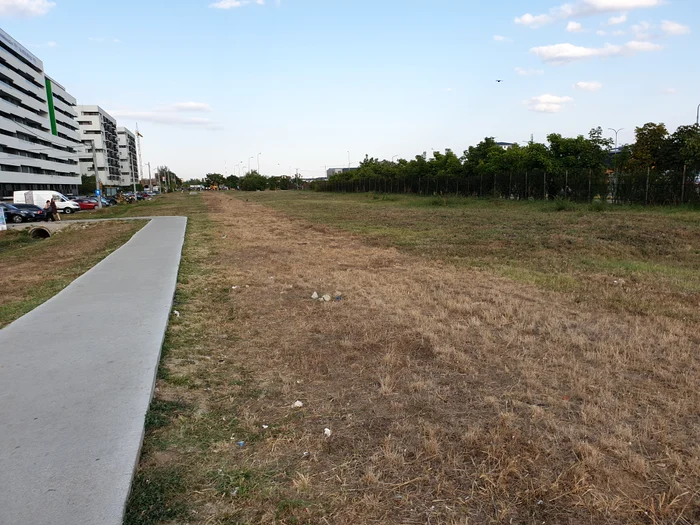 Surse din cadrul Primăriei Chiajna afirmă că autoritățile locale au curățat un teren ce aparține de sectorul 6 al Capitalei 