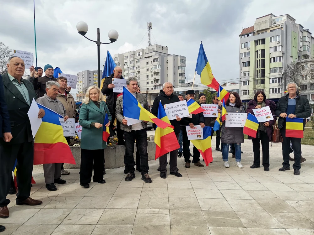 Apicultorii spun că nu beneficiază de niciun fel de sprijin FOTO: A. Mitran