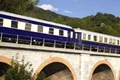 tren jpeg