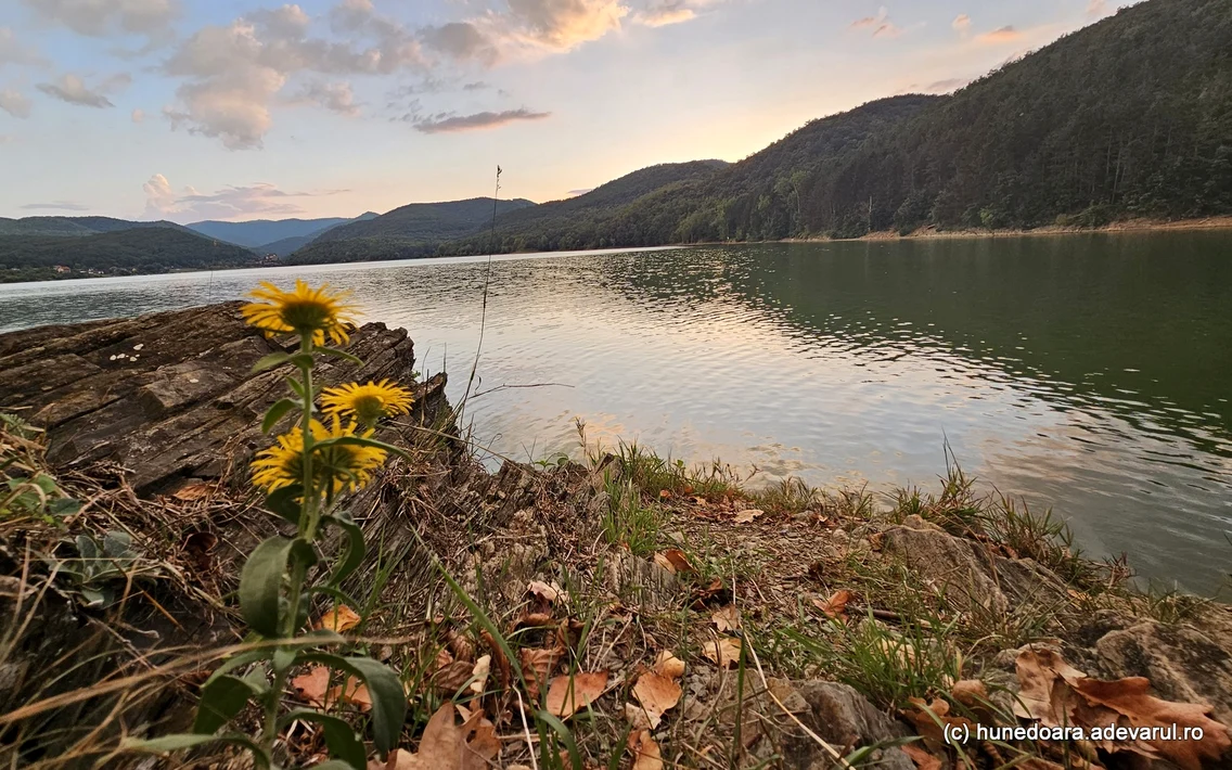 Lacul Cinciș din Hunedoara  Foto Daniel Guță (7) jpg