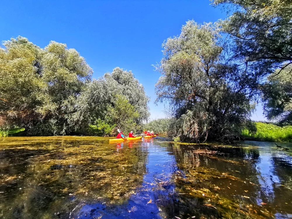 Turism în delta Dunării FOTO: AMDTDD