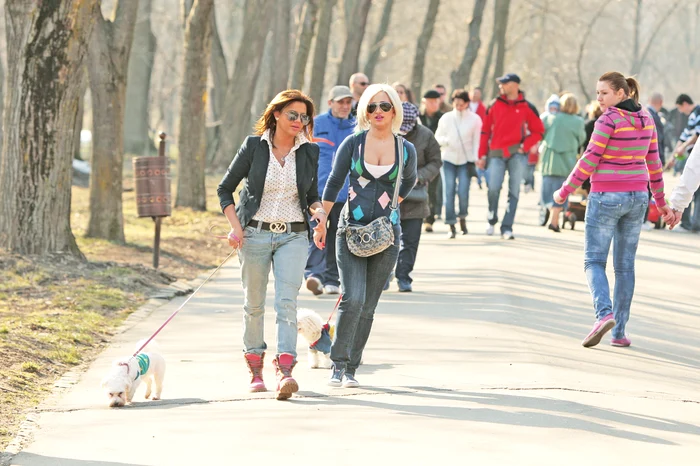 De 1 Mai, vom avea parte de temperaturi normale, însă în unele zone va ploua