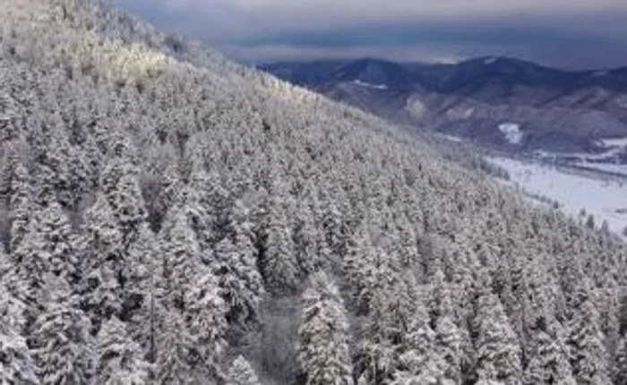 Captură video Mircea Verghelet, Parcul Naţional Piatra Craiului