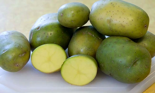 1 61353 original jpg jpeg