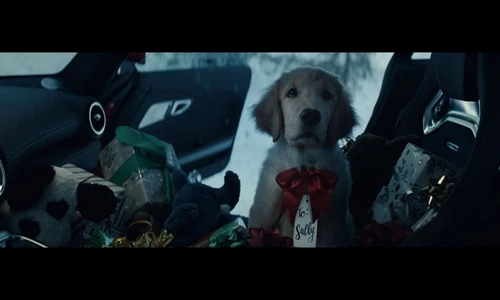 1 78019 original jpg jpeg