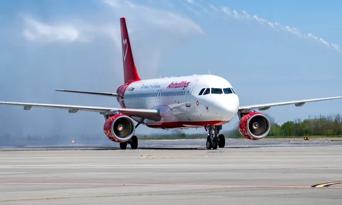avion AnimaWings FB AnimaWings jpg