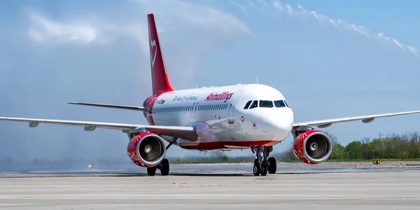 avion AnimaWings FB AnimaWings jpg