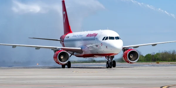 avion AnimaWings FB AnimaWings jpg