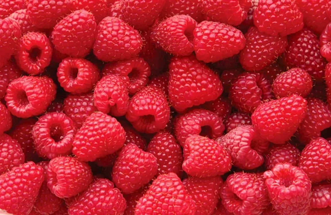 Zmeura poate fi foarte bună pentru dietă / foto: DepositPhotos