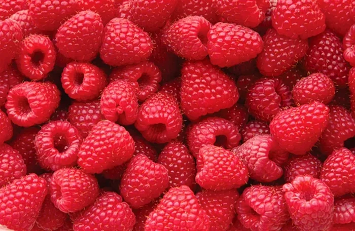 Zmeura poate fi foarte bună pentru dietă / foto: DepositPhotos