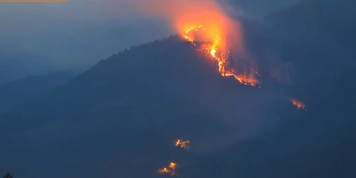 incendiu apuseni