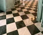 Interiorul castelului din Loreto/ sursa Instagram