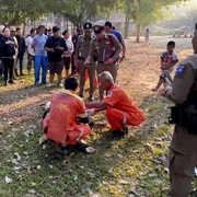 barbat ucis de elefant jfif