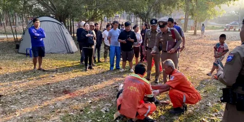 barbat ucis de elefant jfif