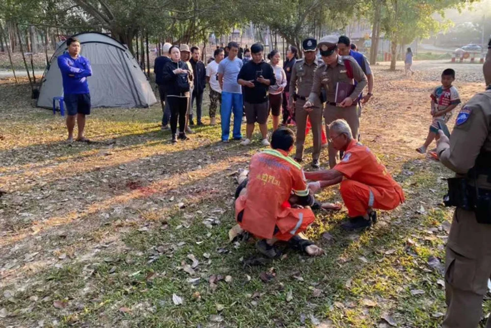 Un turist a fost ucis de elefant într-un parc naţional din Thailanda. Animalul a mai omorât doi oameni în trecut