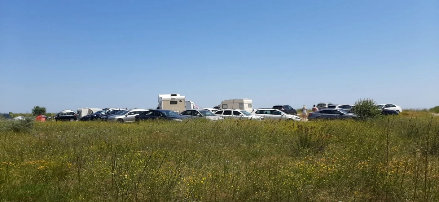 Campare ilegală FOTO ARBDD