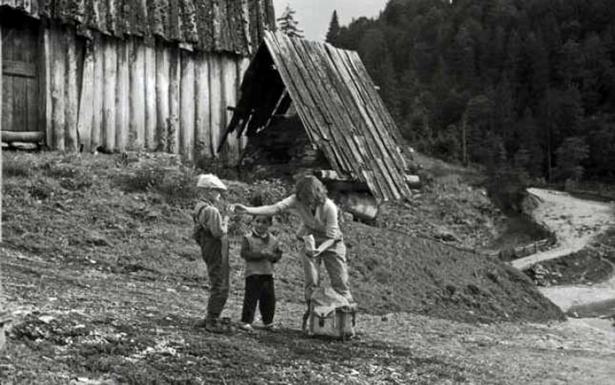 apuseni 1964