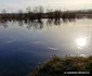 balta lebedelor hunedoara foto daniel guta adevarul