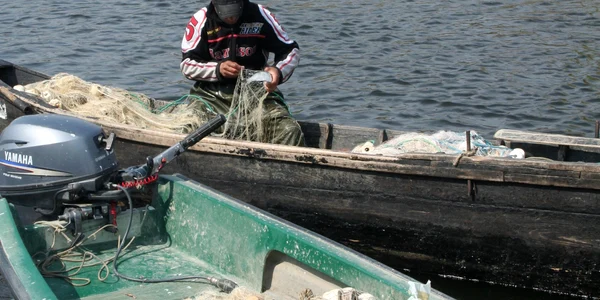 Pescari lăsați fără autorizație