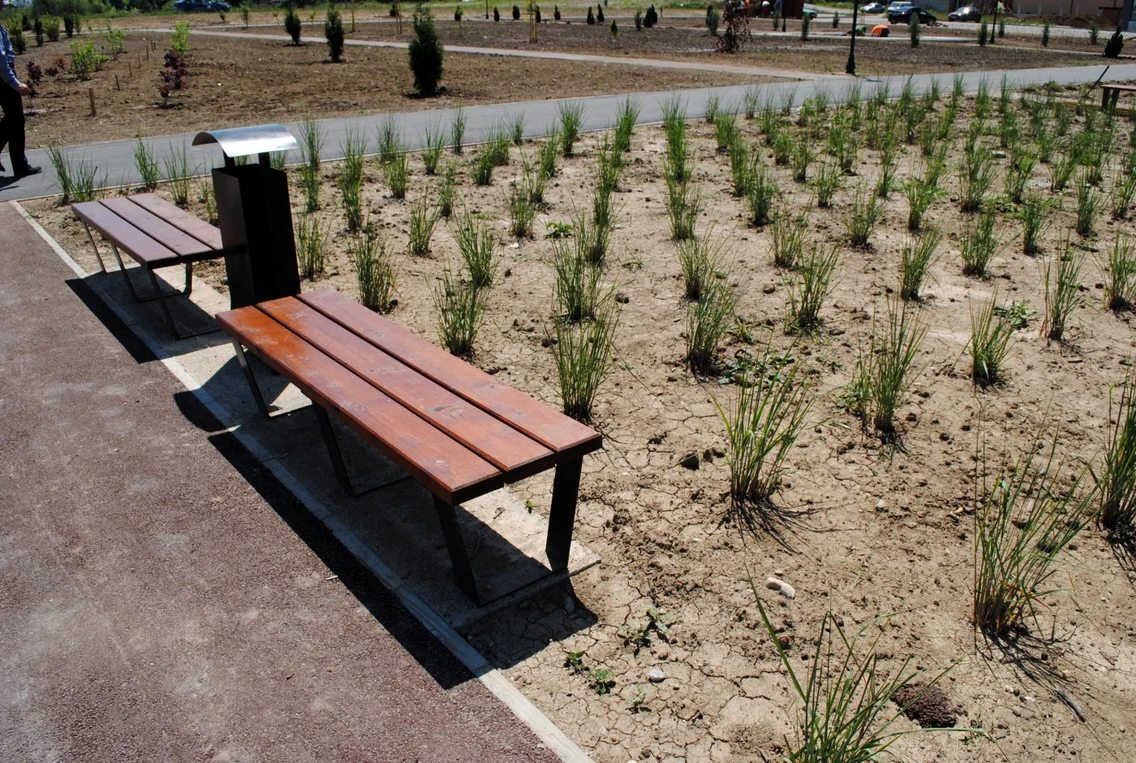 Parcul Salca