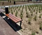 Parcul Salca