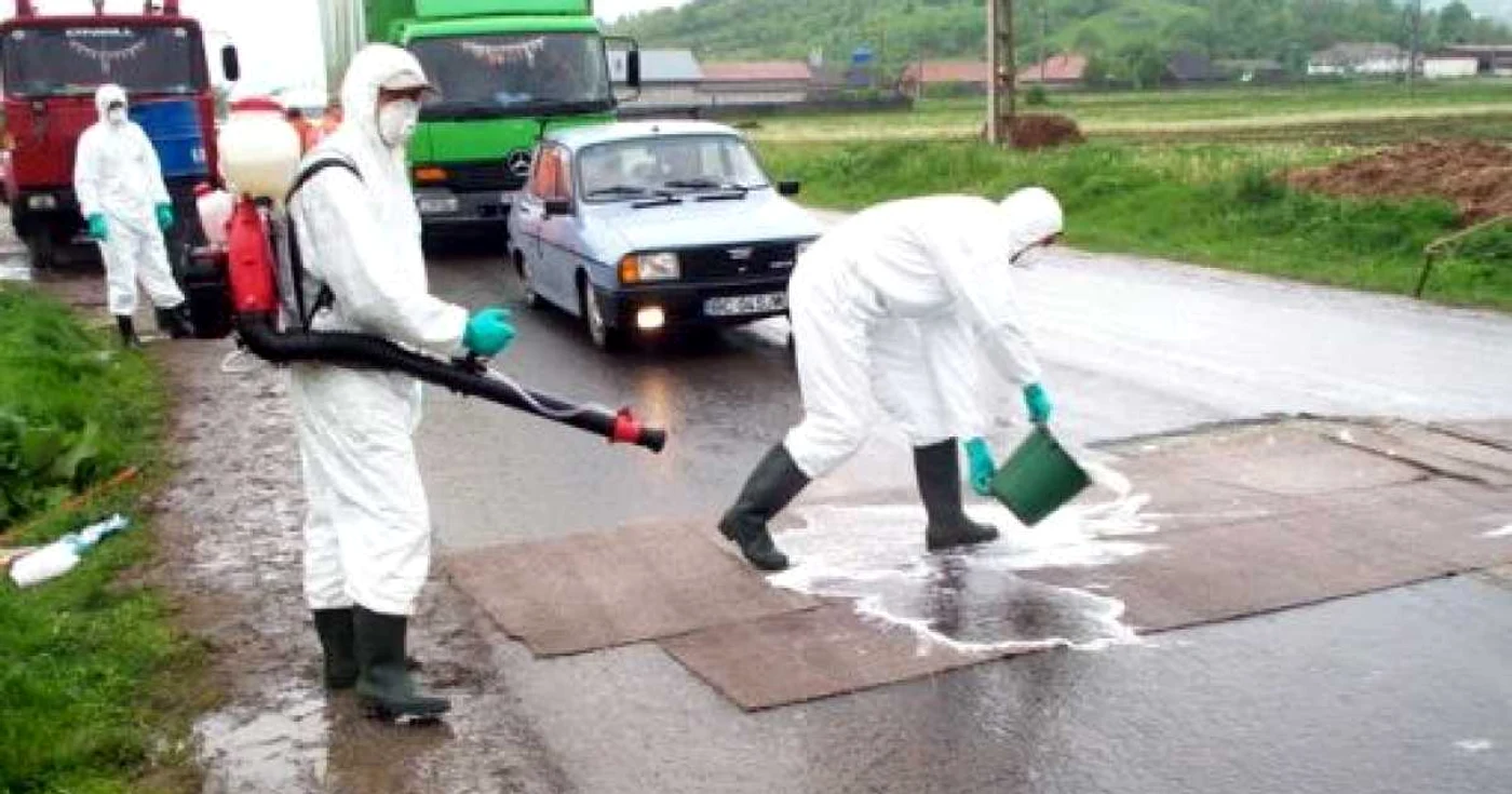 Filtrele de dezinfectare a autoturismelor în perioada epidemiei de gripă aviară din anul 2006 FOTO Arhiva
