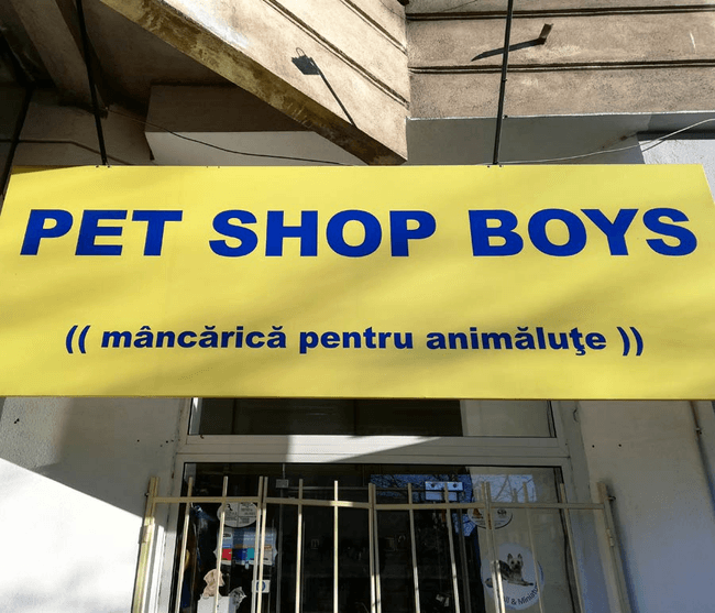 Content image